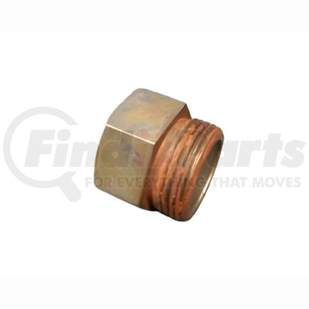 Chelsea 38P5 Power Take Off (PTO) Housing/Passage Seal Plug