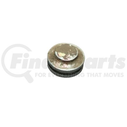 Fuller 20855 Plug