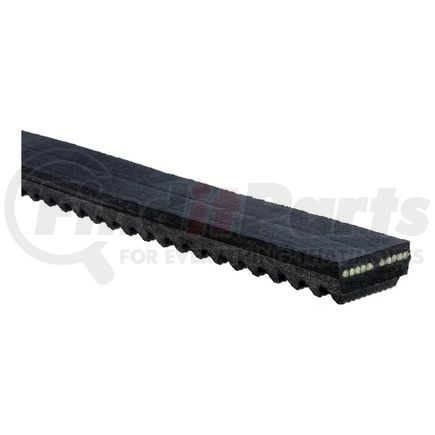 NAPA BX42 V-Belt - Classical Section, Molded Notch, BX, 21/32" x 45", Ethylene (EPDM), Polyester