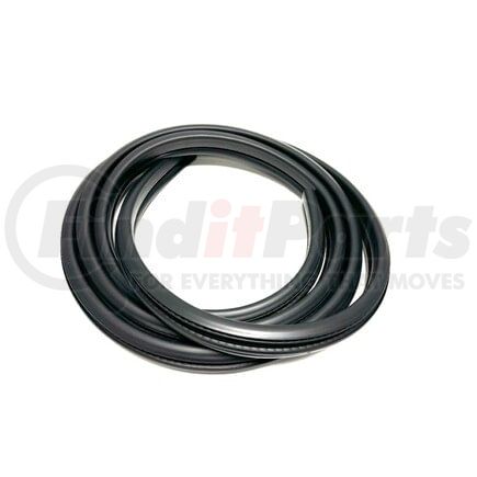 Fairchild D3068 Front Door Seal on Body for 2005-2010 Jeep Grand Cherokee (55394040AG)