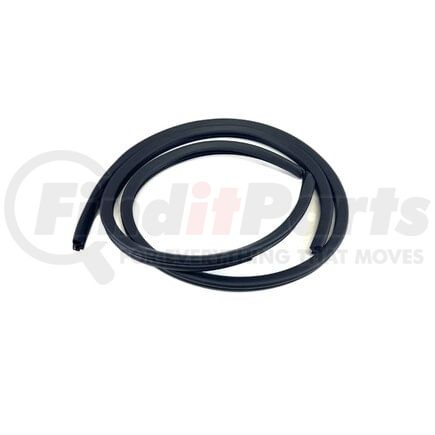 Fairchild T3008 Rear Passenger Side Door Seal on Body for 2007-2021 Toyota Tundra (62331-0C030)