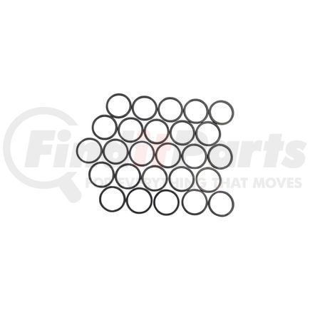 DIPACO D3909356 DIPACO D3909356 NEW FUEL INJECTOR O-RING KIT (PACK OF 25)