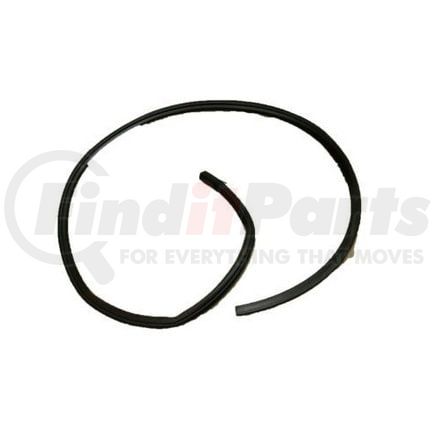 GM 15917732 Lift Gate Window Weatherstrip Assembly