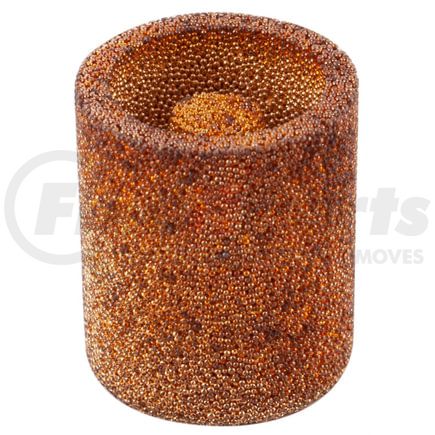 Premium Guard PF21 Fuel Filter