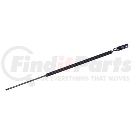 Tuff Support 610969 Liftgate Lift Support