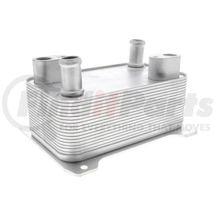 Vemo V15600009 Oil Cooler, automatic transmission