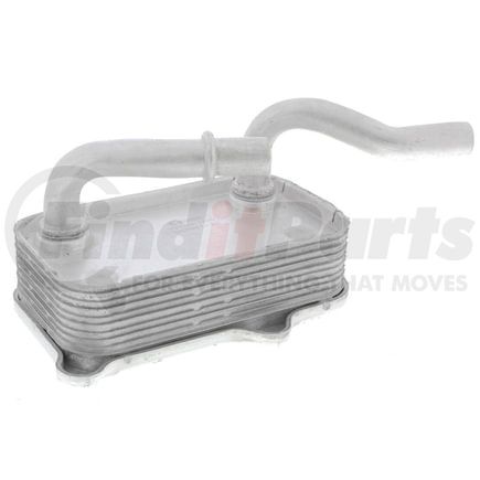 Vemo V30601266 Radiador de aceite, aceite motor