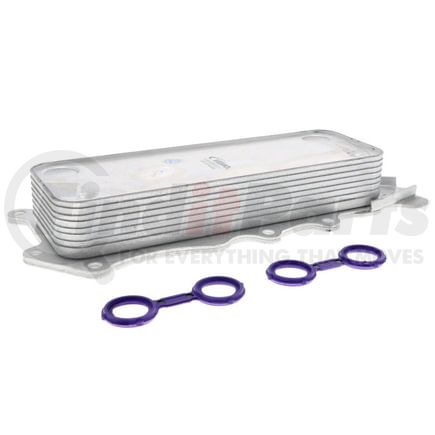 Vemo V30-60-1317 Radiador de aceite, aceite motor