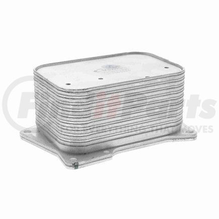 Vemo V30601335 Radiador de aceite, aceite mot