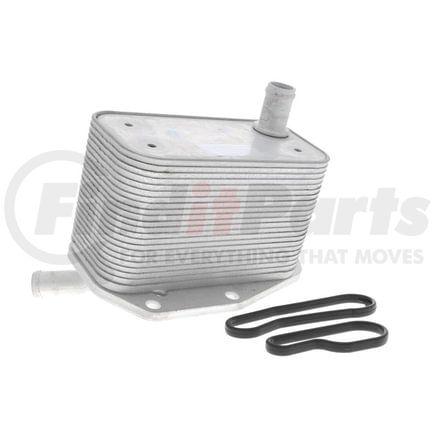 Vemo V48600022 Oil Cooler, engine oil