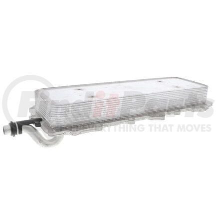 Vemo V48600024 Oil Cooler, engine oil