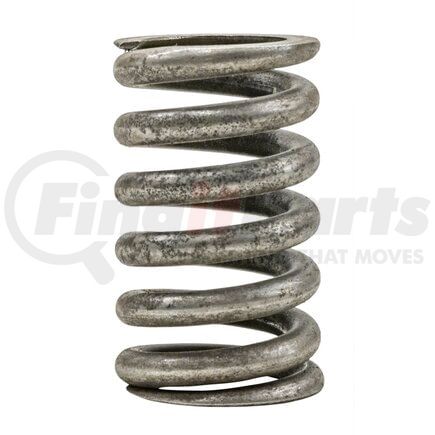 Blackmer 471807 Blackmer Relief Valve Spring TX