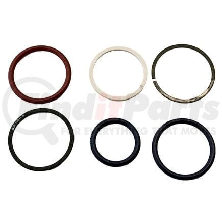 D&W 242-012-0032 Remanufactured Fuel Injector Seal Kit