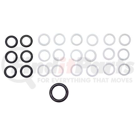 D&W 246-043-0001 Fuel Injector O-Ring Kit