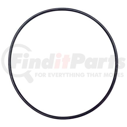 Blackmer 701946 BLACKMER