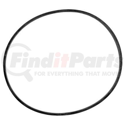 Blackmer 701947 BLACKMER