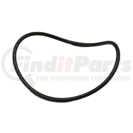 Blackmer 702280 Blackmer Hydrive Filter Lid O-Ring 2010