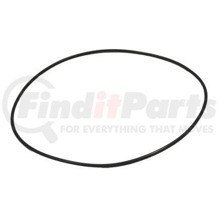 Blackmer 702232 Blackmer O-Ring TX