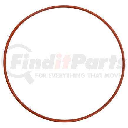 Blackmer 702242 Blackmer O-Ring TX
