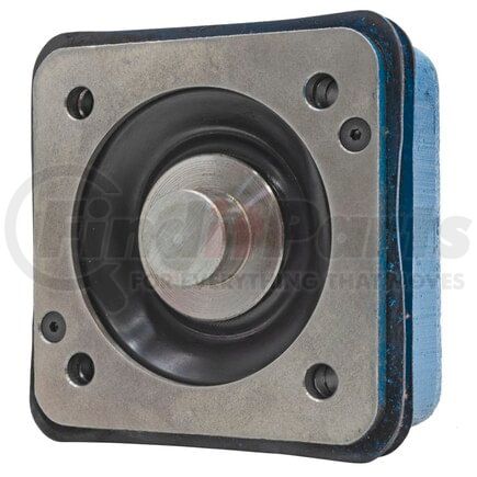 Blackmer 891798 BLACKMER