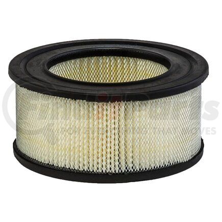 Donaldson P606071 AIR FILTER