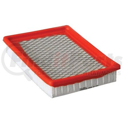 Donaldson P614544 AIR PANEL