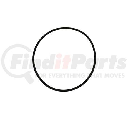 Detroit Diesel A0179978945 Fuel Injection Pump O-Ring