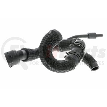 Vaico V10 4288 Radiator Hose