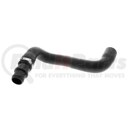 Vaico V202462 Tubería de radiador