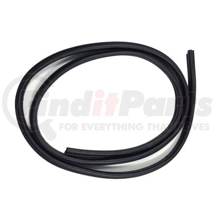 Fairchild D3043 Door Seal on Body