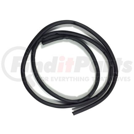 Fairchild D3045 Door Seal on Body