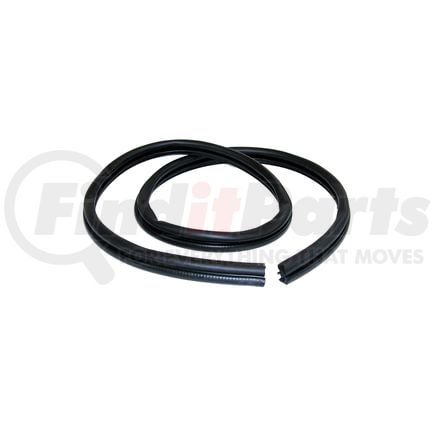 Fairchild F3006 Door Seal