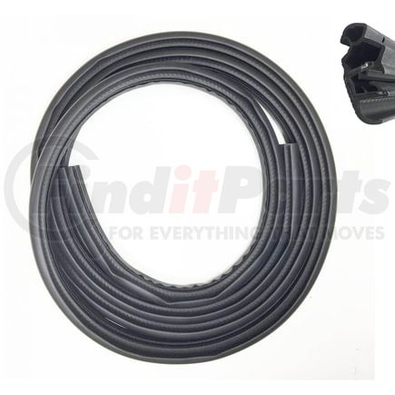 Fairchild F3085 Rear Door Seal on Body
