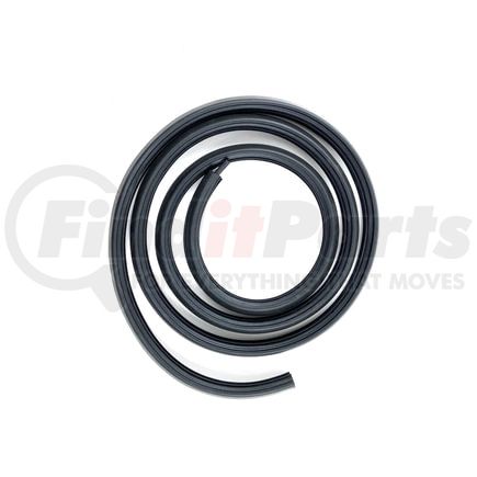 Fairchild G3160 Door Seal on body