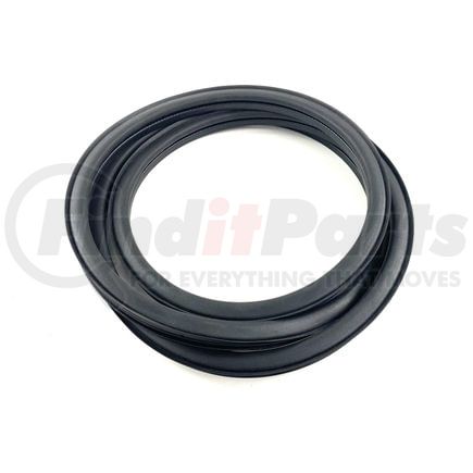 Fairchild T3011 Front Door Seal on Body for 1995-2000 Toyota Tacoma, Replaces OEM# 62311-04010