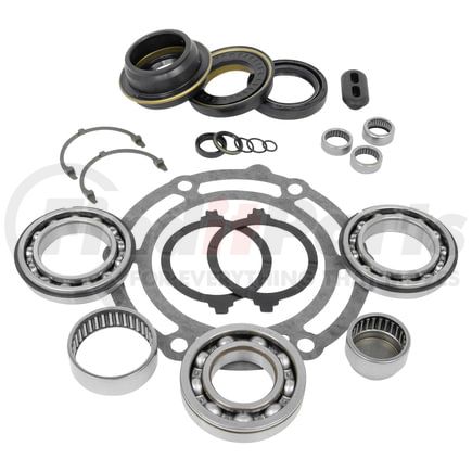 USA Standard Gear ZTBK371 USA standard Transfer Case NP261 & NP263 Transfer Case Bearing Kit 1995+