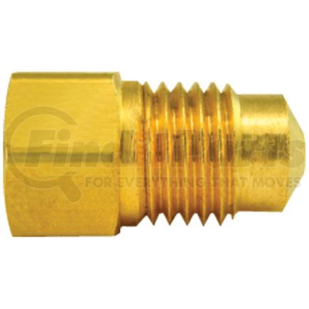 AGS Company BLF-37B Brass Adapter, Female(M10x1.0 Inverted), Male(M13x1.5 Bubble), 1/bag