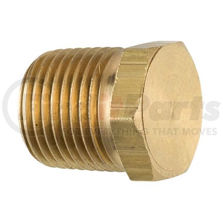 AGS Company PTF-13B Brass Hex Plug, Male (1/2-14 NPT), 1/bag