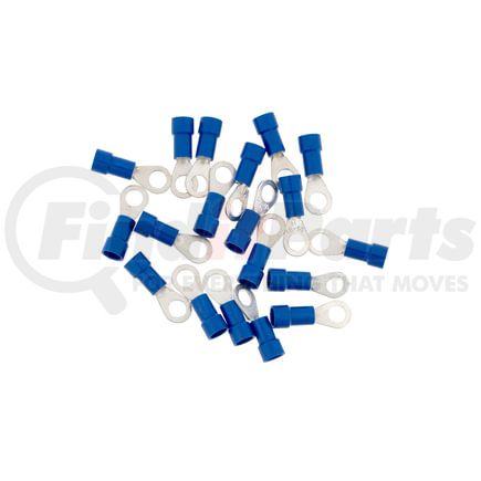 United Pacific 98063 Ring Terminal - 19 Pieces, Vinyl, 16-14 AWG, #10 Stud