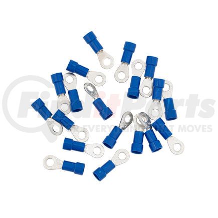 United Pacific 98062 Ring Terminal - 19 Pieces, Vinyl, 16-14 AWG, #8 Stud
