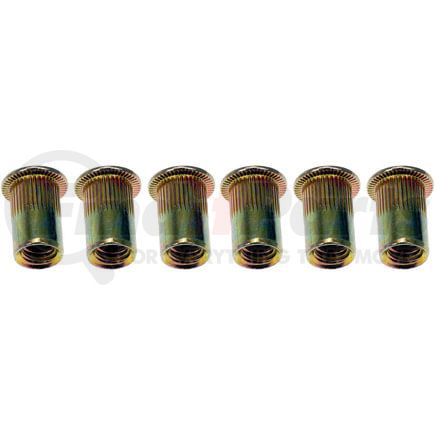 Dorman 963-250BX Rivet Nut - 1/4-20
