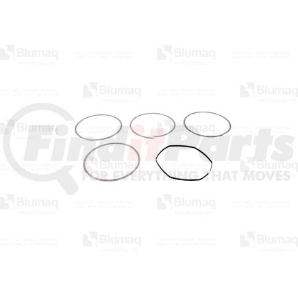 Blumaq 100-7401 Exhaust Seal Ring Kit - fits Caterpillar