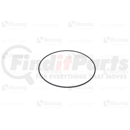 Blumaq 3T-3601 Multi-Purpose Seal Ring - Steel, 386. mm. ID