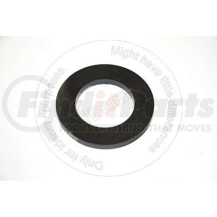 Blumaq 1461799 Washer