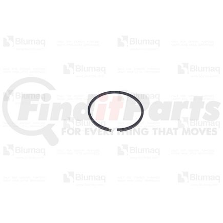 Blumaq 1M3937 Multi-Purpose Seal Ring - Steel, 82.55 mm. OD x 3.137 mm. Thick