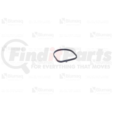 Blumaq 2772975 GASKET