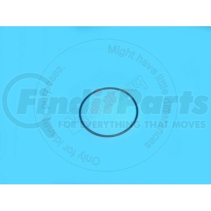 Blumaq 0634306295 Seal O-ring