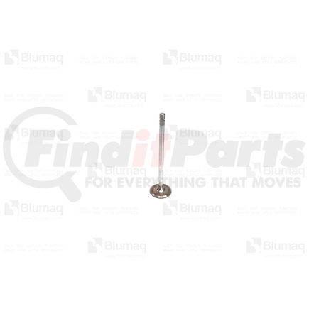 Blumaq 039.211 Engine Intake Valve - fits Volvo