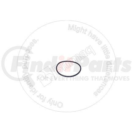 Blumaq 0951558 Seal O-ring