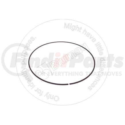 Blumaq 2S-6443 Multi-Purpose Seal Ring - 17.625" ID, with Spring
